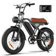 iScooter EB5 20 inch fat tire e-mountainbike in het zwart